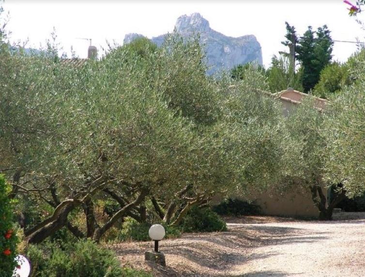Un Gite En Provence - Les Jardins de Fontanille Saint-Rémy-de-Provence Extérieur photo