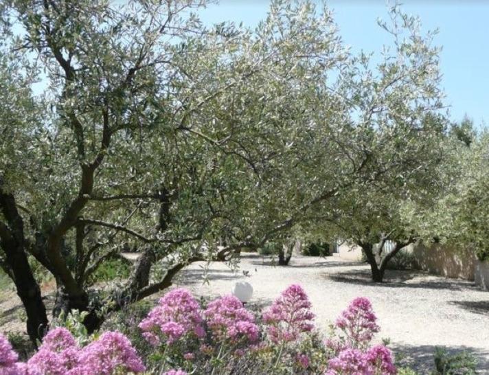 Un Gite En Provence - Les Jardins de Fontanille Saint-Rémy-de-Provence Extérieur photo